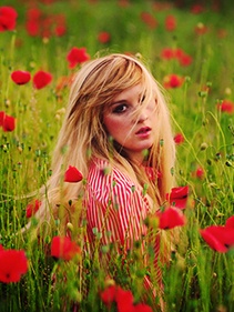 Egy k&iacute;v&aacute;ns&aacute;g